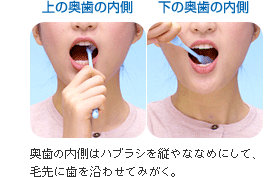 奥歯の歯磨きの仕方